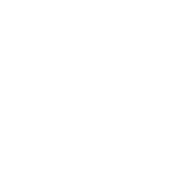 Partnership Ecosystem